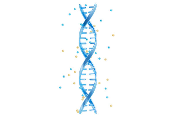 Medical and science concept DNA picture ,3d rendering