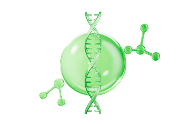 Medical and science concept DNA and cells,3d rendering