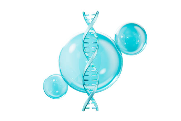 Medical and science concept DNA and cells,3d rendering