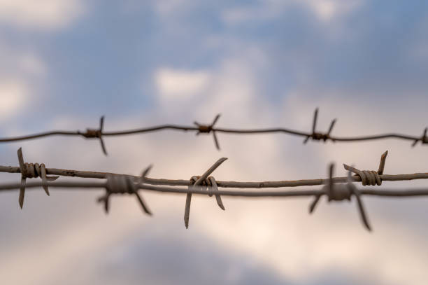 istock Barbed wire against the blue sunset sky 2183007732