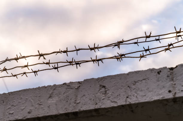 istock Barbed wire against the blue sunset sky 2183007738