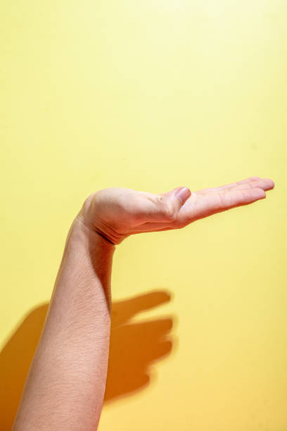 istock An open hand held palm up against a bright yellow background, casting a clear shadow, symbolizing offering, presentation, or support. Ideal for conceptual themes related to giving and openness 2183009393