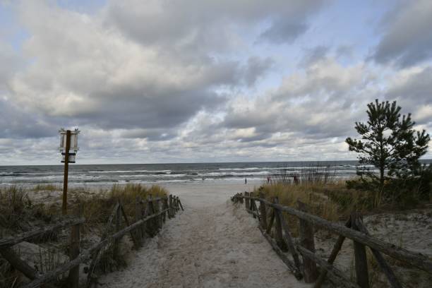 istock Serene beach pathway leading to the ocean under a cloudy sky. 2183011259