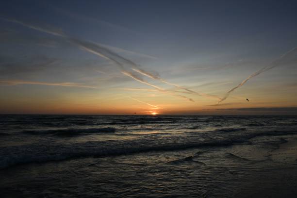 istock Ocean sunset with gentle waves and a bird in flight. 2183011366