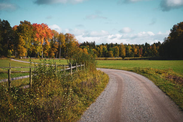 istock A gravel road through a field 2183016563