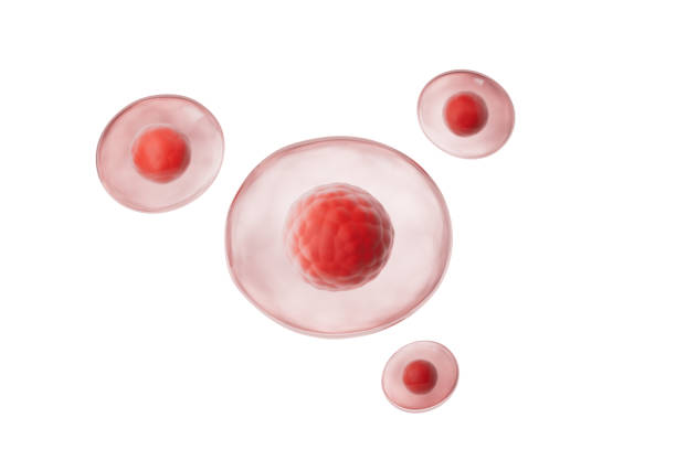 istock Medical cells with dark background,3d rendering 2183016661