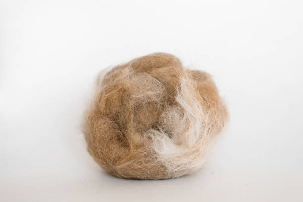 istock lump of cat hair 2183017528