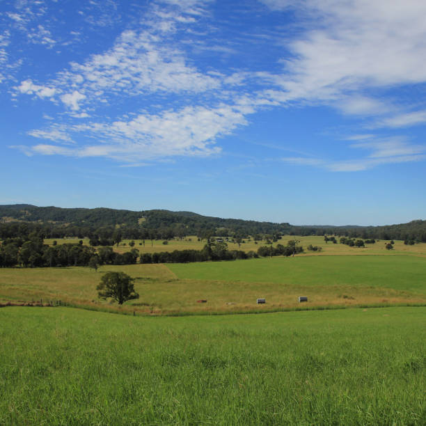 istock Green meadows near Wauchope, Australia. 2183018596