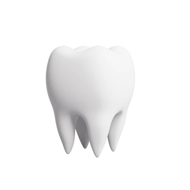 istock 3D rendering of dental medical elements 2183021396