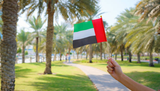 istock female hand holding tiny flag of UAE 2183022197