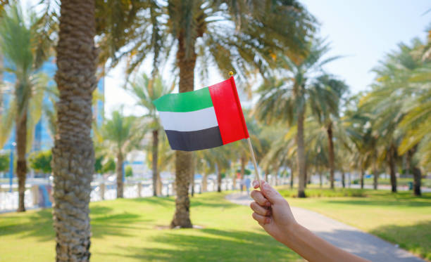 istock female hand holding tiny flag of UAE 2183022423