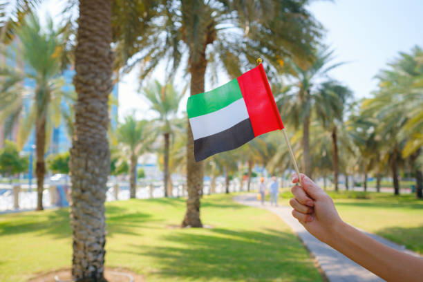 istock female hand holding tiny flag of UAE 2183022485