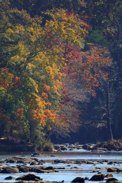 istock Serene autumn landscape with colorful foliage and river. 2183024080
