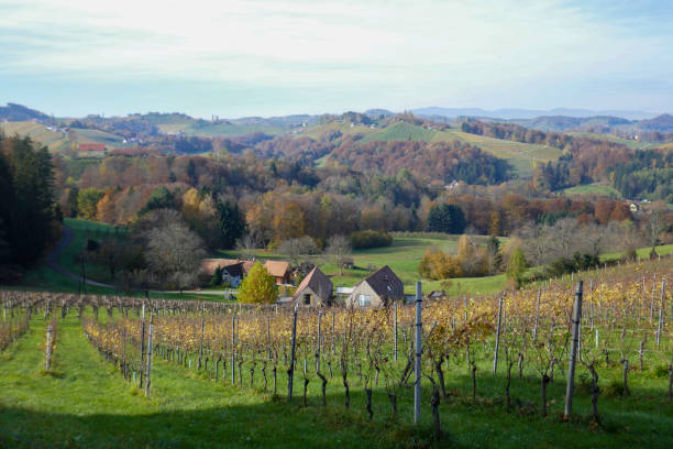 istock Autumn in Southern Styria, Austria 2183030203
