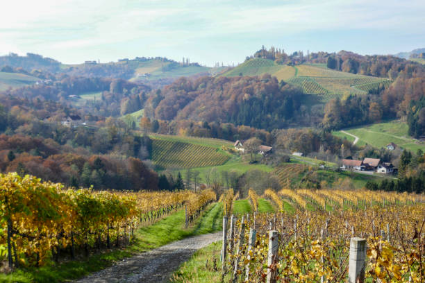 istock Autumn in Southern Styria, Austria 2183030237