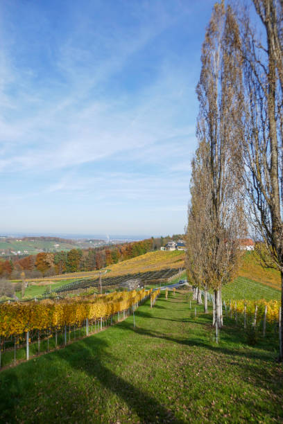 istock Autumn in Southern Styria, Austria 2183030558