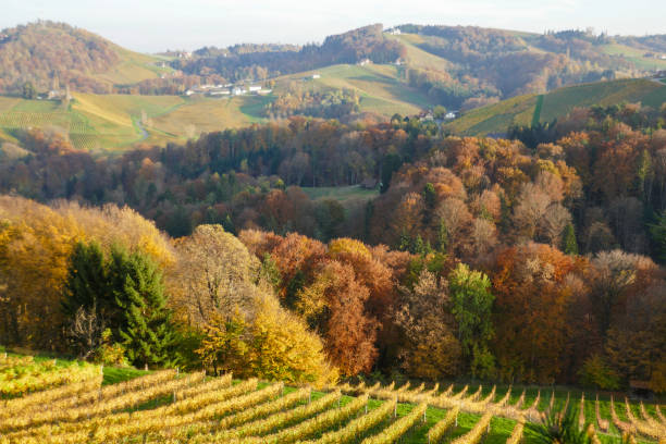 istock Autumn in Southern Styria, Austria 2183030826