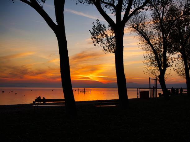 istock Silhouetted trees by a lake at sunset. 2183031582