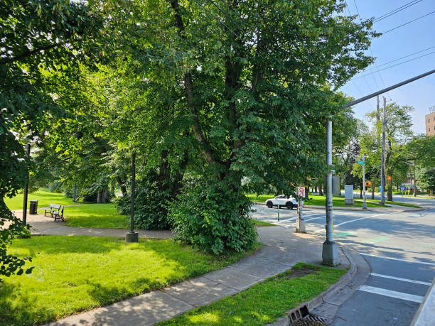 istock Sidewalk along city street 2183031584