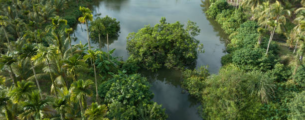 istock Beautiful landscape in tropical forst 2183033180