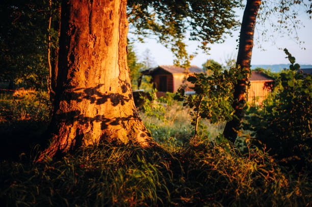 Through typical Swiss landscape past Swiss landmarks. Explore the Alps by mountaineering and Motorbike