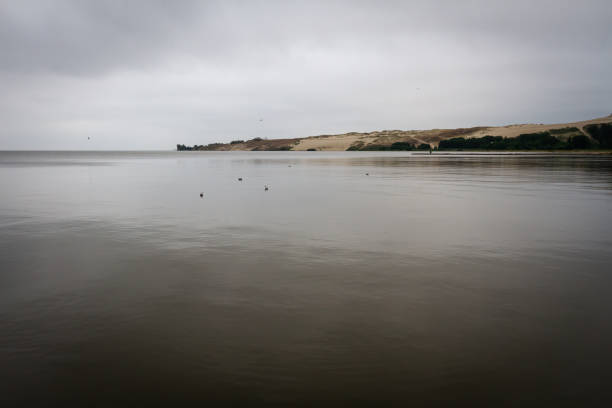 Landscape at the Curonian Lagoon on a gloomy day