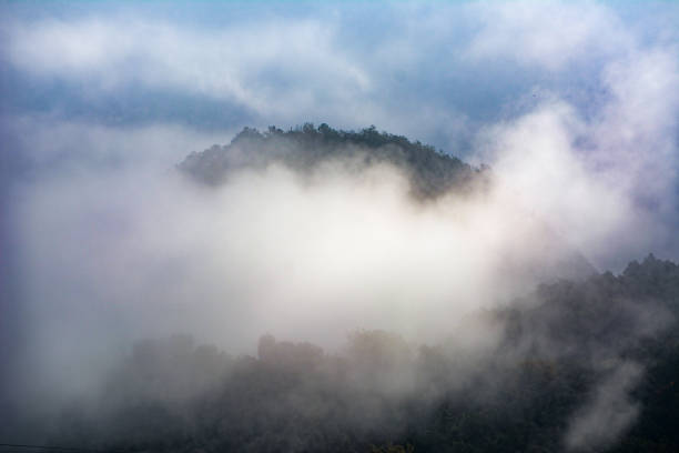 Mountain peak with trees and fog around and blue sky in Sau swamp, Barcelona