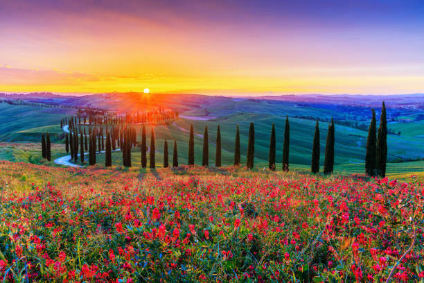 istock Asciano, Italy. Val d'Orcia 2183050930
