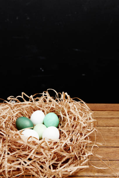 istock painted easter eggs in the nest tradition decoration holiday 2183054219