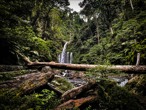 istock Tiu Kelep waterfall, Lombok, Indonesia 2183056217