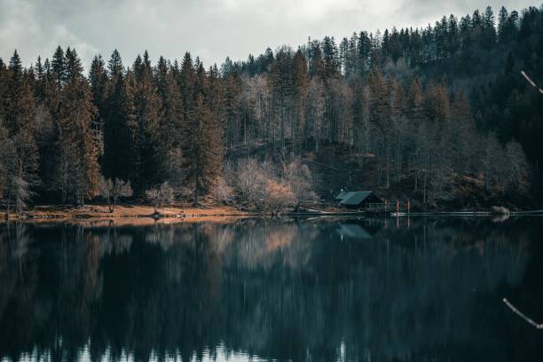 istock Serene forest landscape with cabin by calm lake. 2183061173