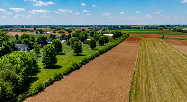 A farm with a green field and a brown field