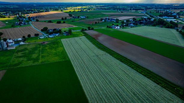 istock Vast Agricultural Fields Under a Bright Sky During Late Afternoon in a Rural Landscape 2183068108