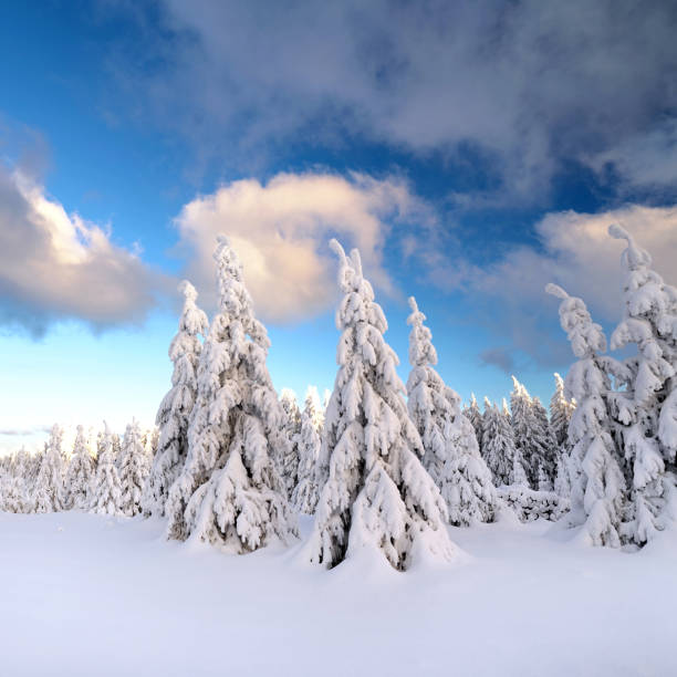 istock winter landscape in the mountains with snow-covered trees 2183070177
