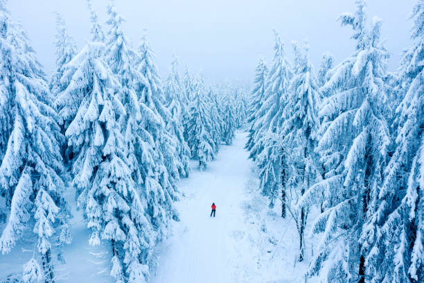 istock winter landscape with snow covered trees 2183070186