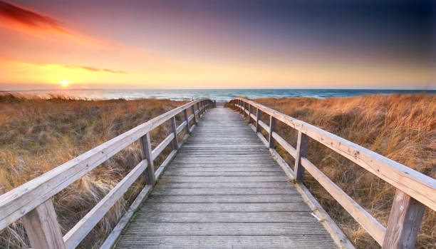 istock amazing nature on Baltic Sea beach 2183071719