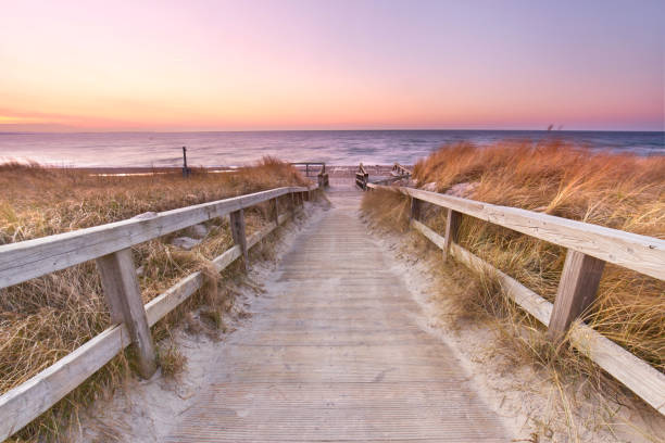 istock wooden footpath threw the sandy dunes on a beach 2183071733