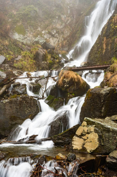 Icy water from snowmelt rushes through a mountain gorge between boulders