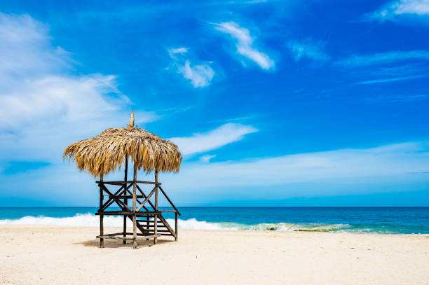 A beach hut with a straw roof sits on the beach. The hut is empty and the beach is calm