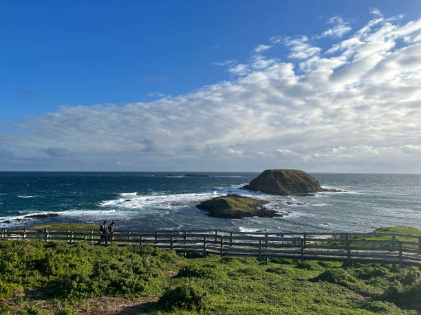 istock Seaside View at The Nobbies 2183079699