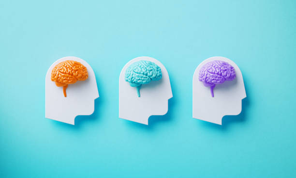 istock Neurodiversity Concept - White Human Head Symbols With Colorful Brain Objects On Blue Background 2183081689