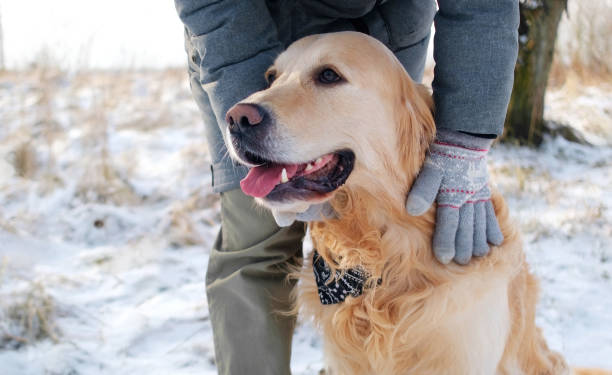 istock Loving Owner Petting Her Dog On Winter Walk 2183087546