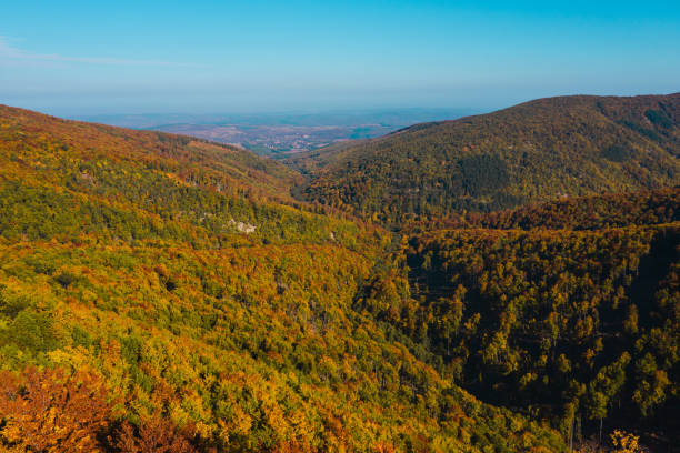 An aerial view of rolling mountains covered in vibrant autumn foliage, showcasing a colorful mix of green, orange, and yellow trees. The expansive landscape under a clear blue sky offers a breathtaking view of nature's seasonal beauty.