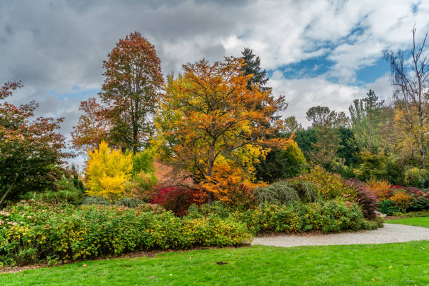 istock Kubota Gardens Fall Landsscape 7 2183098989