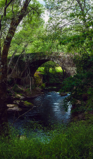 istock A serene stone arch bridge covered in ivy stands over a tranquil forest stream, surrounded by lush greenery and trees, creating an enchanting, peaceful atmosphere in the midst of nature 2183101724