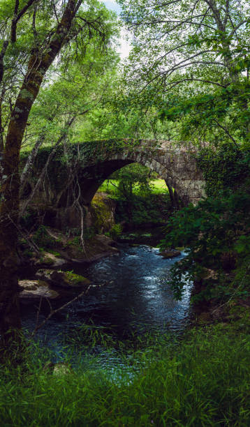 istock A serene stone arch bridge covered in ivy stands over a tranquil forest stream, surrounded by lush greenery and trees, creating an enchanting, peaceful atmosphere in the midst of nature 2183102718