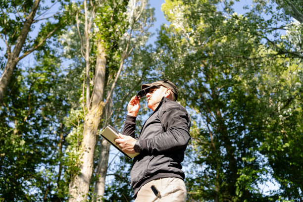 istock An environmental technician observes the trees with a digital device in his hands. 2183105287