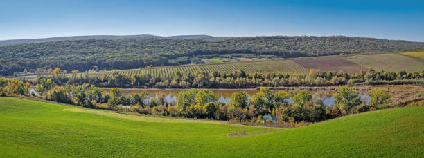 istock Panoramic landscape with rolling green hills, a river and a dense forest at horizon under the blue sky. Picturesque rural scene with agricultural lands 2183107549