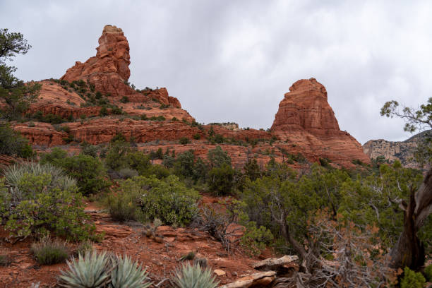 istock Sedona mountain peak sage brush and cactus 2183109002