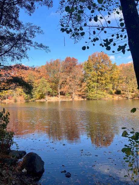 istock Autumnal colors parkland 2183112386